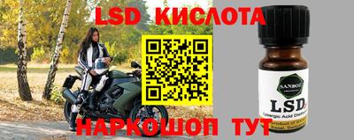 гидра Кимры