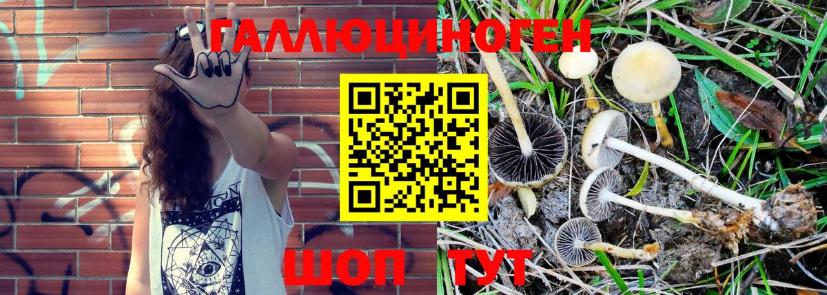 Смоленск  где купить наркоту  Псилоцибиновые грибы MAGIC MUSHROOMS  Вход с VPN  Галлюциногенные грибы мицелий 