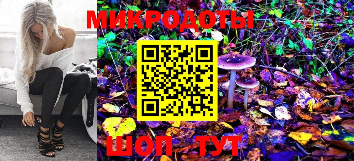 Псилоцибиновые грибы Cubensis Смоленск